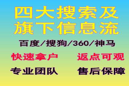 专业SEM推广托管，案例见证效果